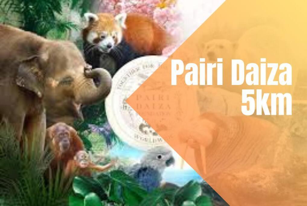 Charmant Logement Brugelette Proche De Pairi Daiza Exteriör bild